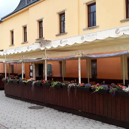 Hotel Strelnice